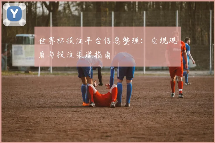 世界杯投注平台信息整理：合规观看与投注渠道指南