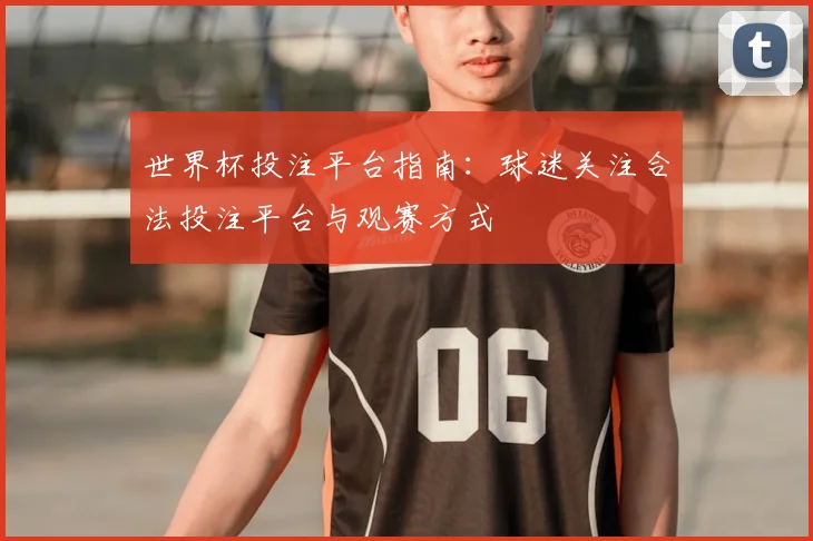 世界杯投注平台指南：球迷关注合法投注平台与观赛方式