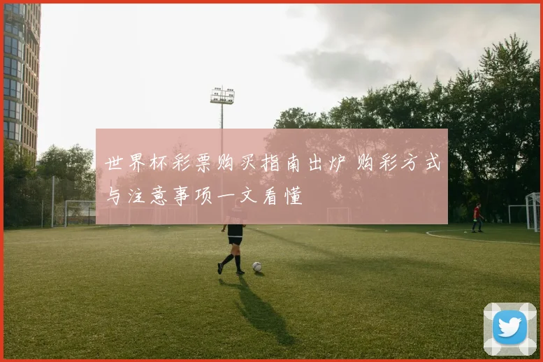 世界杯彩票购买指南出炉 购彩方式与注意事项一文看懂