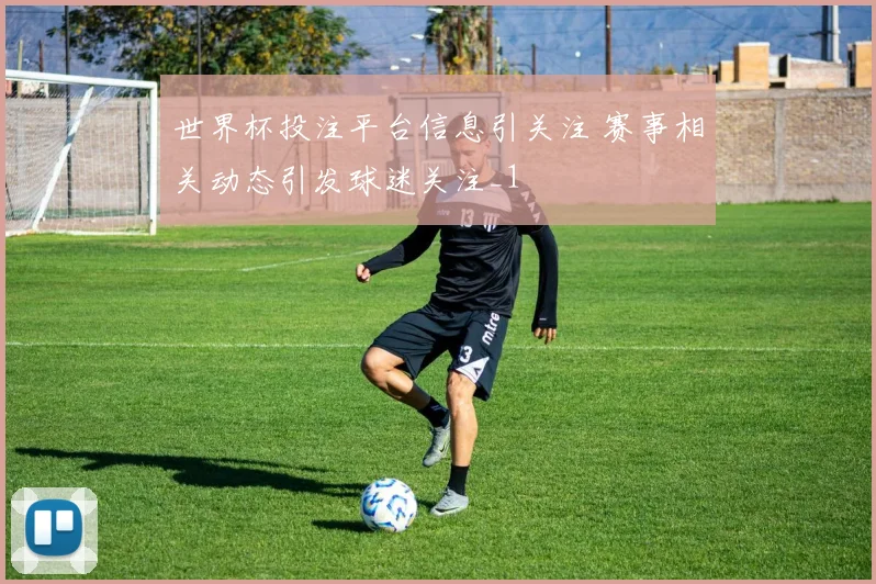世界杯投注平台信息引关注 赛事相关动态引发球迷关注_1