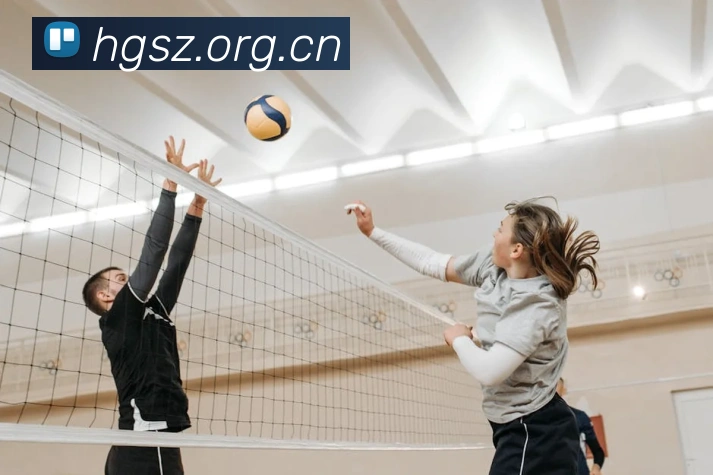 乐竞体育网站首页平台生态图